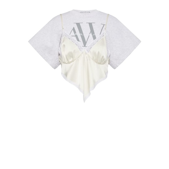 Alexander Wang Gray and Cream Top - Picture 5 of 5